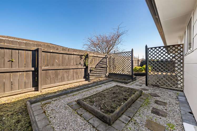 17A Cashmere Grove Witherlea_12