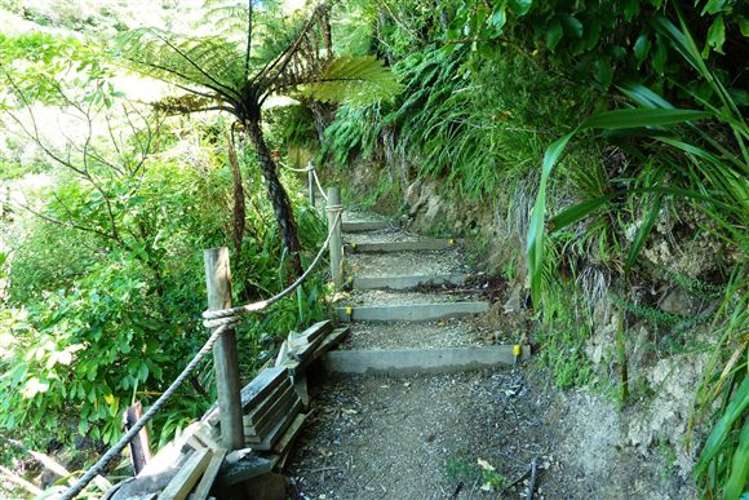 Arthurs Bay Kenepuru Sound_9