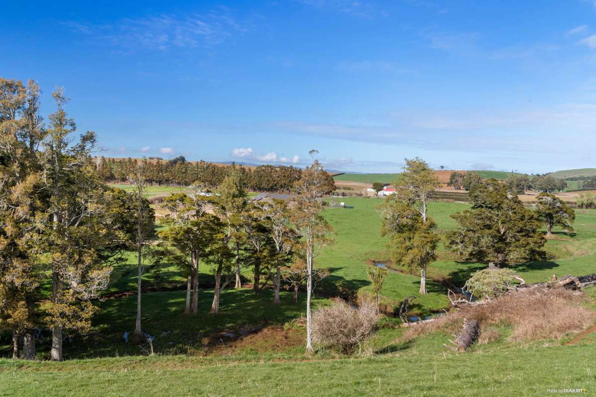 678 Waiuku Road_2