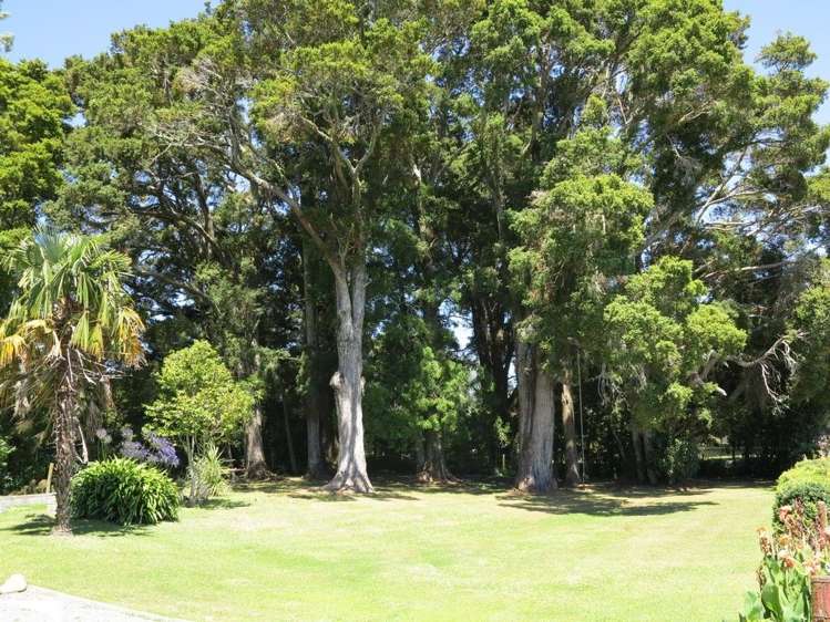 167 One Spec Road Takaka_17