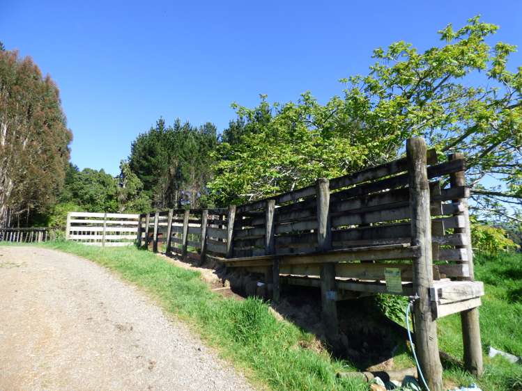 2229 State Highway 31, Kawhia Road Otorohanga_11
