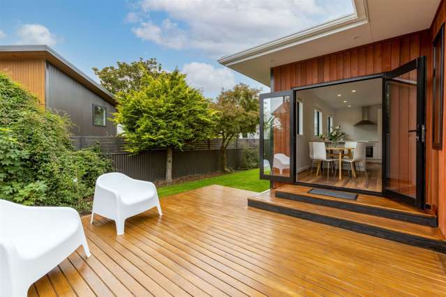 223a Waimea Terrace Beckenham_1