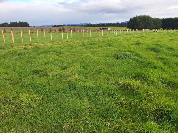 Lot Lot 1/49 Laws Road Dannevirke_4