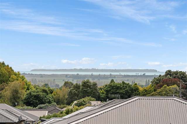 16A No 2 Road Te Puke_2