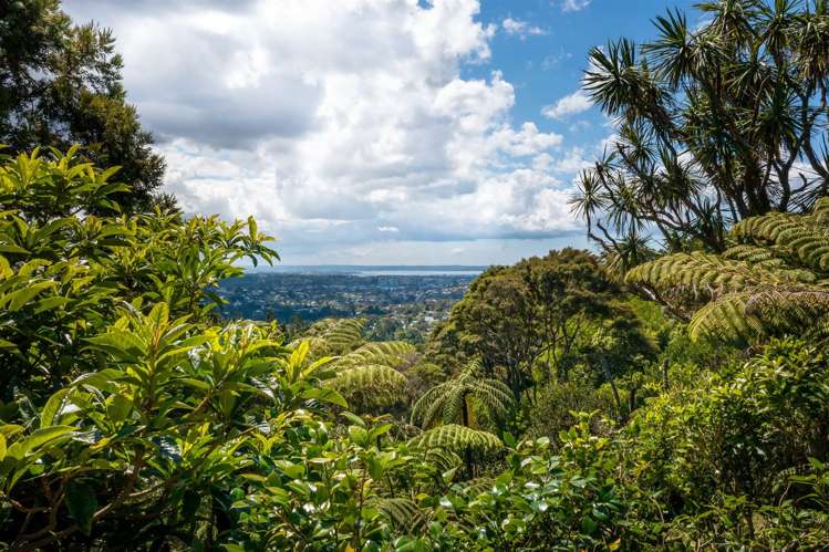 73 Kohu Road Titirangi_34