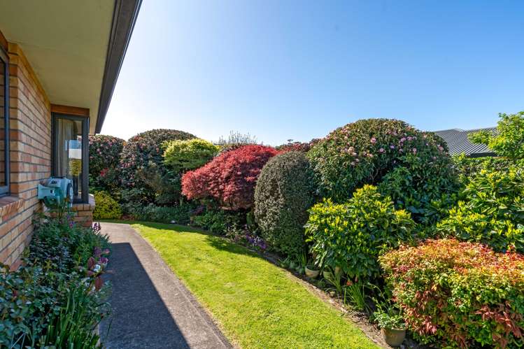 114b West Street Greytown_12