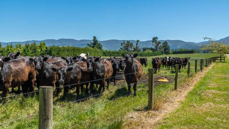 260 Hayland Road Okuku_19