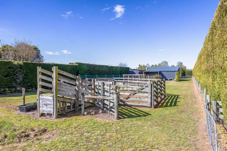 1427 Tram Road Swannanoa_35