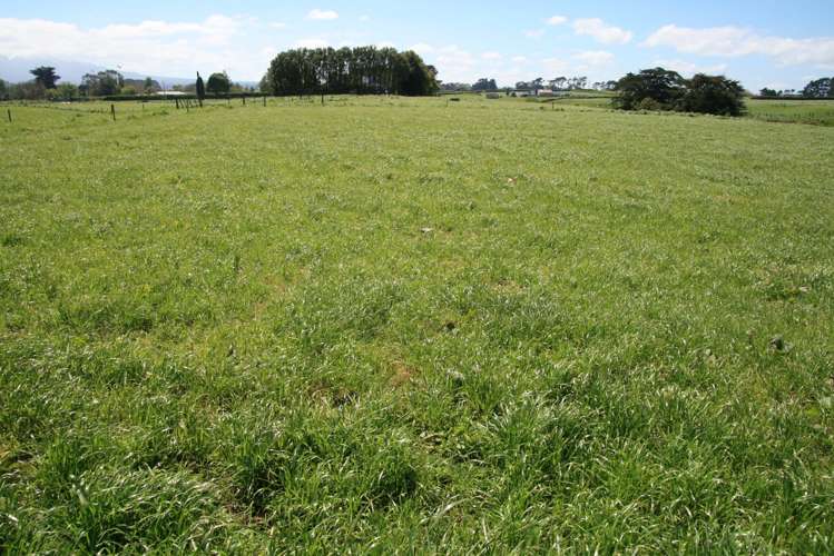 520 Lower Duthie Road Matapu_1