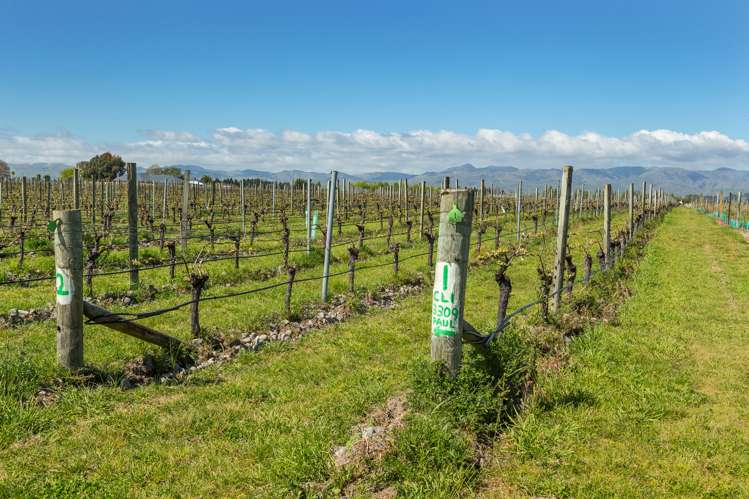 15 Boyces Road Rapaura_9