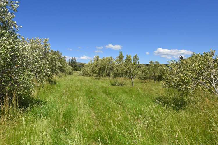 142b Dublin Street Martinborough_20