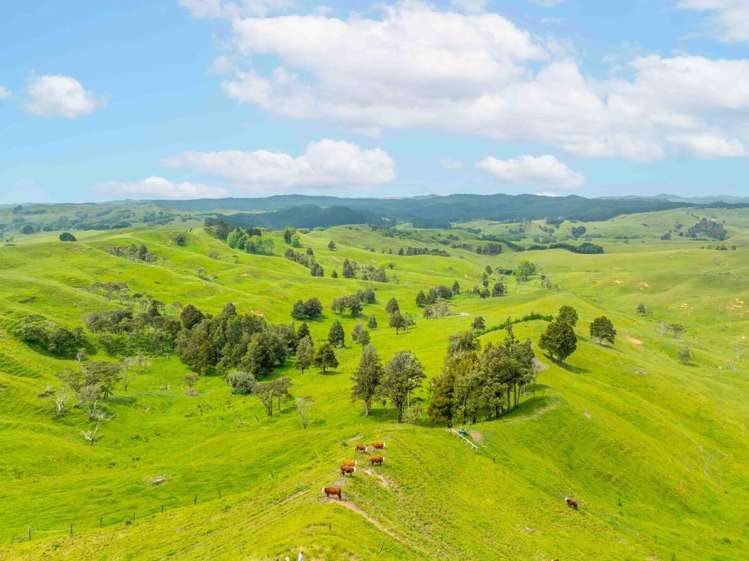 671 Ruakiwi Road Te Akau_7