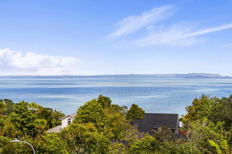 115A Halsey Drive Lynfield_12