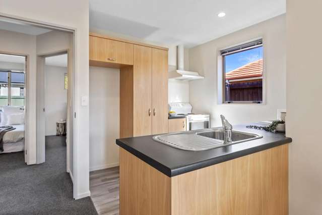 230b Hills Road Mairehau_1