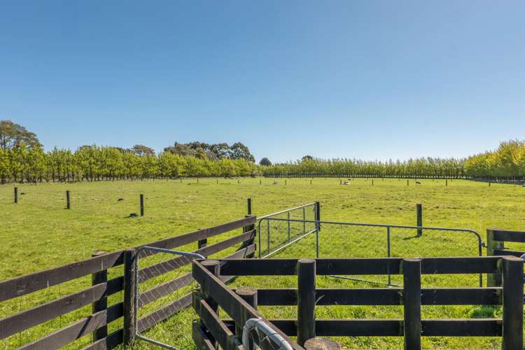 5/602 Shands Road Prebbleton_26