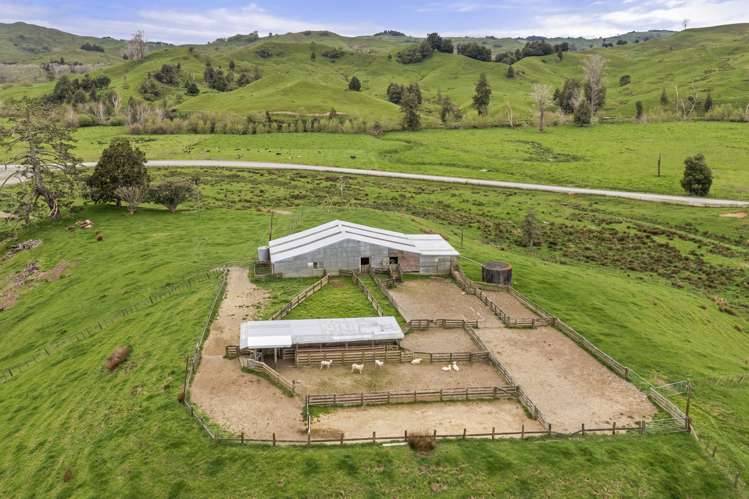 80 Parakoko Road Aria_18