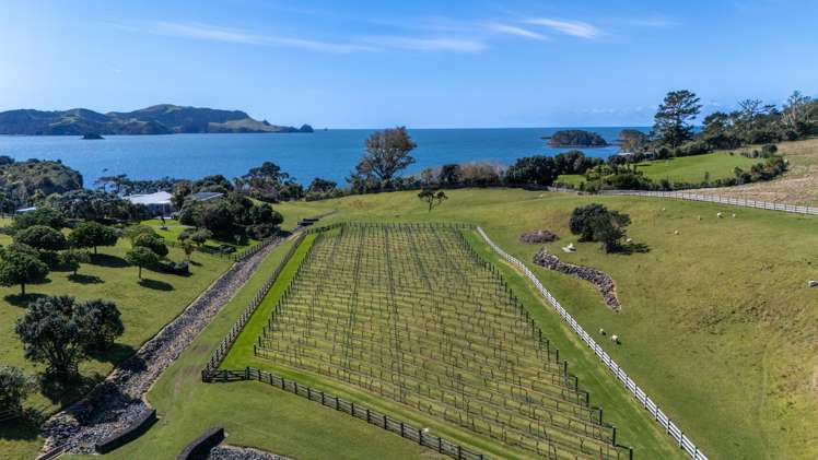Lot Lot 3/- Moturoa Island Kerikeri_30
