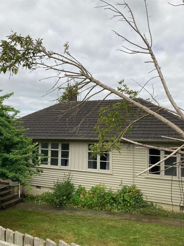 23 Craig Terrace Te Kuiti_9