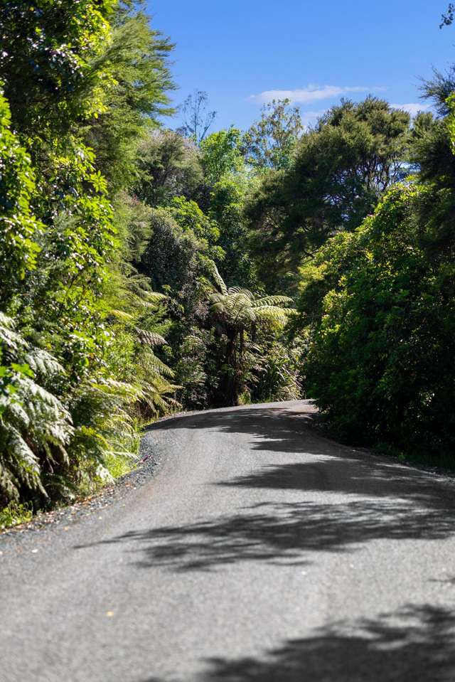 Cable Bay Road Hira_3