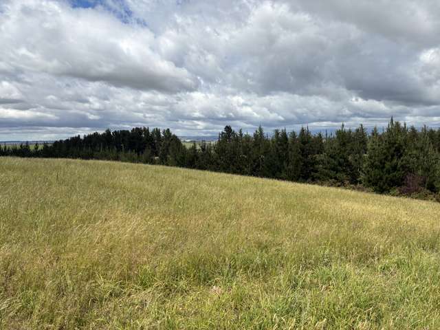 Opihi School Road Pleasant Point_2