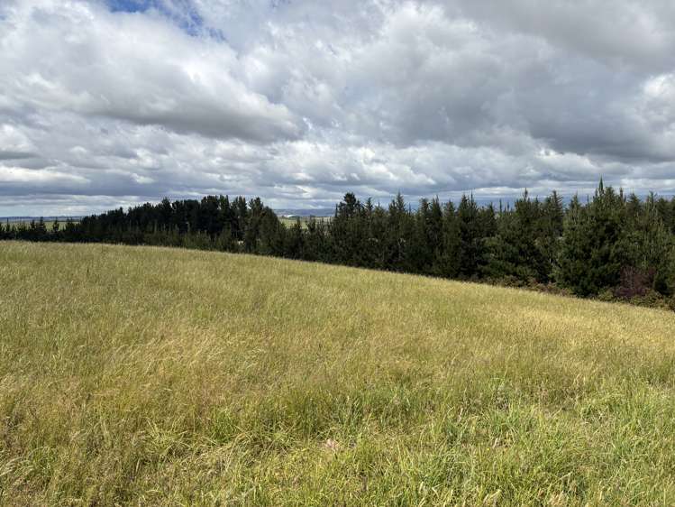 Opihi School Road Pleasant Point_2