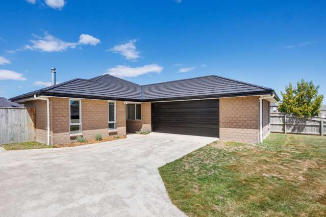 8 Huffington Place Feilding_1