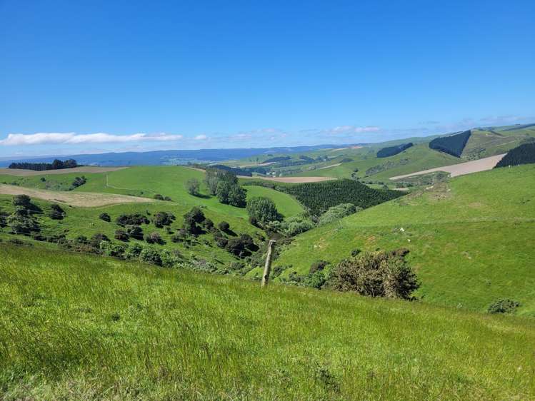 575 Tuapeka Flat Road Lawrence_24