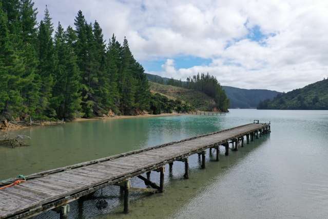 Queen Charlotte Forest, Onapua Bay Marlborough Sounds_4