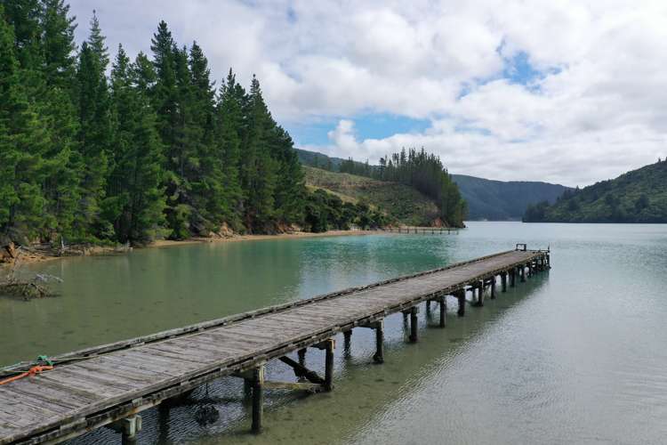 Queen Charlotte Forest, Onapua Bay_4