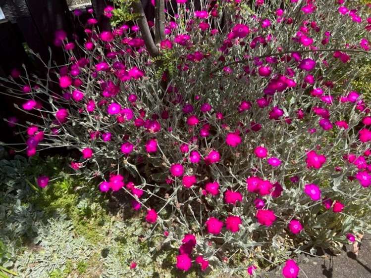 92 Reservoir Street Putaruru_25