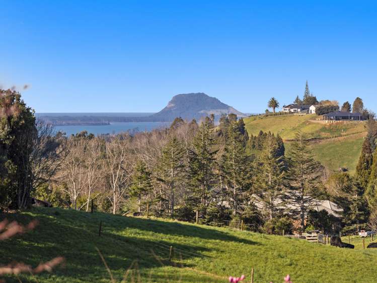 535 Esdaile Road Whakamarama_27