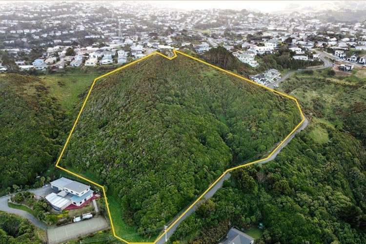 166 Glanmire Road_0
