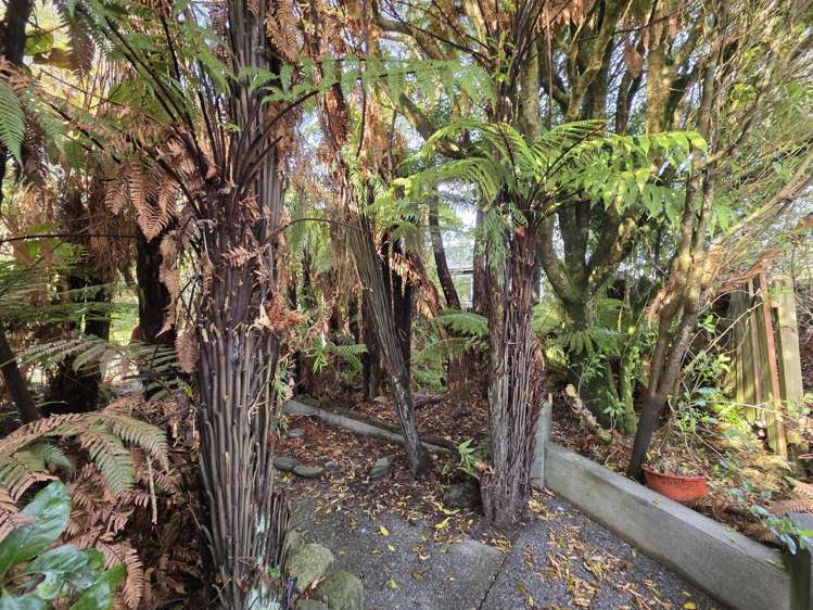 153 Weld Street Hokitika_26