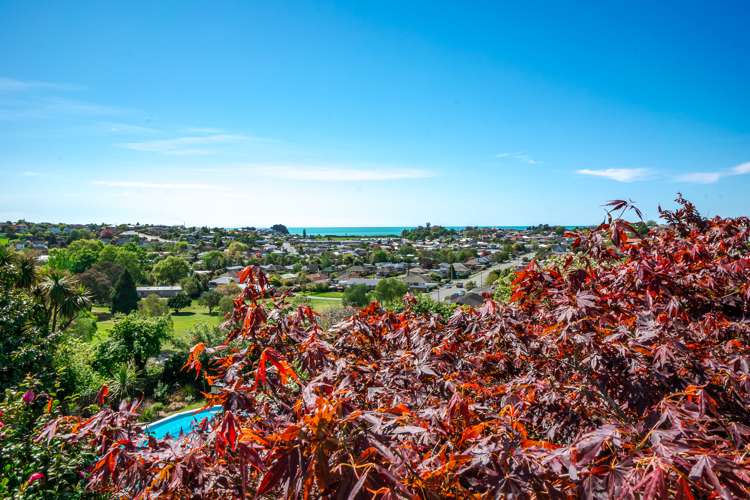 20 Kitchener Square Highfield_46