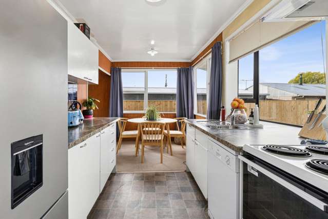 20B Alma Street Renwick_3
