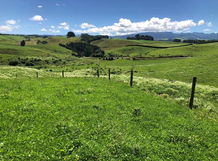 1564 State Highway 31 Kawhia Road Otorohanga_19