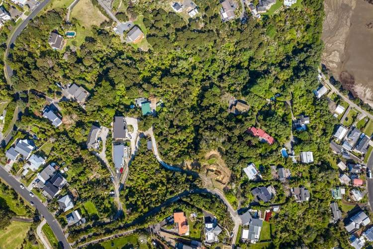 81 Roberts Road Matakatia_12