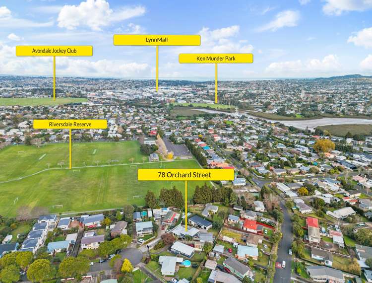 78 Orchard Street Avondale_21