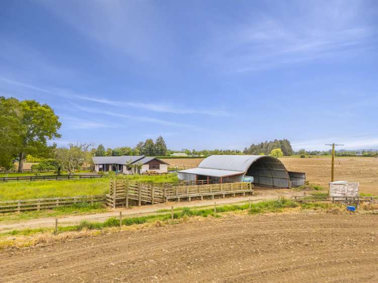 390 Marychurch Road Matangi_5