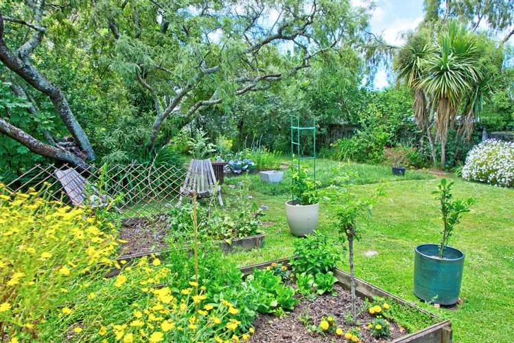 56 College Street Caversham_15