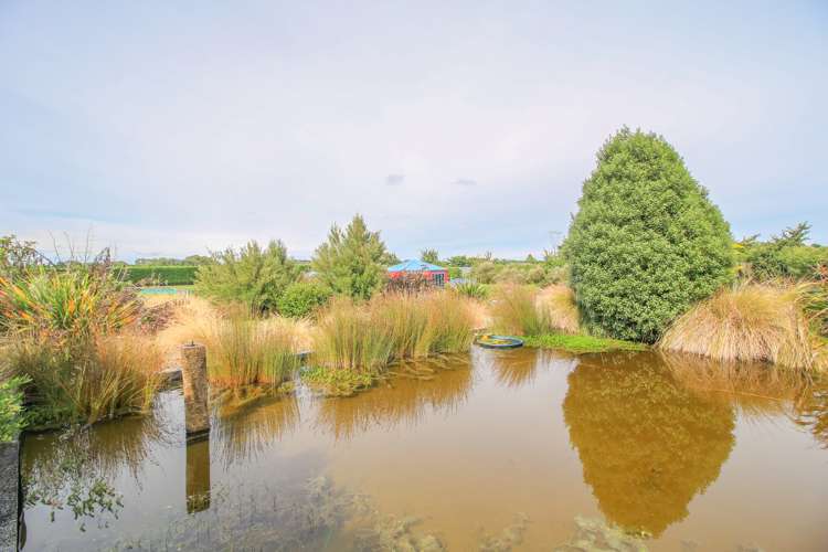 403 Mill Road North Myross Bush_32