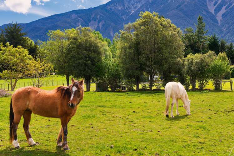 565 Mt Fyffe Road Kaikoura_22