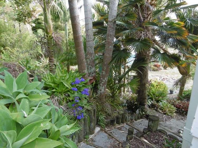 64c Hokianga Road Dargaville_7