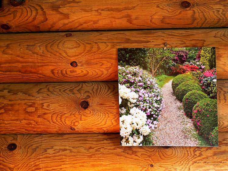 51 Terako Terrace Lyford_18