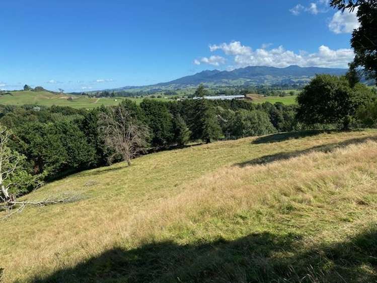 1266 Te Pahu Road Karamu_43