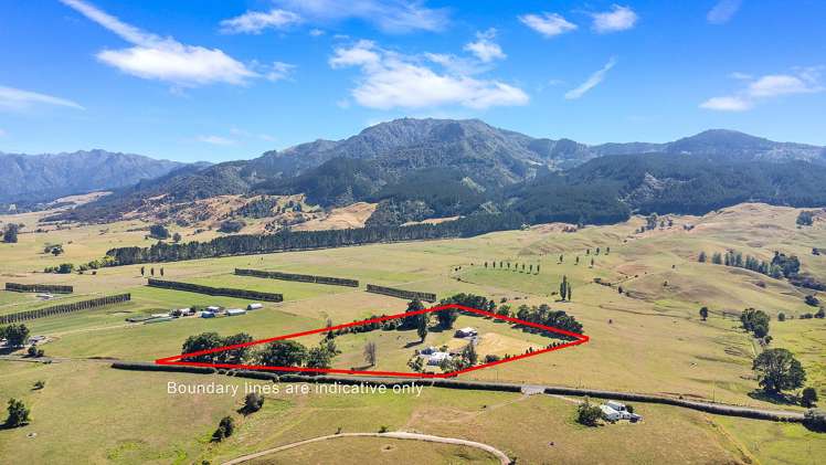 1409 Te Aroha-Gordon Road Matamata_22