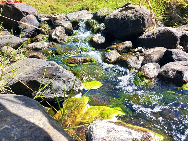 269 Takahue Saddle Road Takahue_12