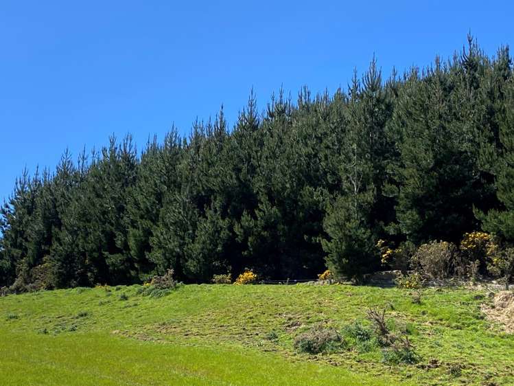 66 Otokia-Kuri Bush Road West Henley_6