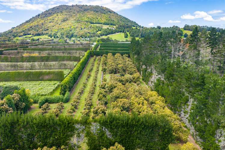 1611 State Highway 14 Maungatapere_19