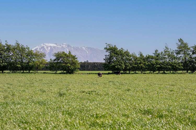 1280 Back Track Rakaia_9